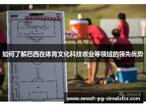 如何了解巴西在体育文化科技农业等领域的领先优势