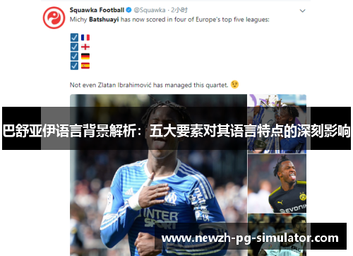 巴舒亚伊语言背景解析：五大要素对其语言特点的深刻影响