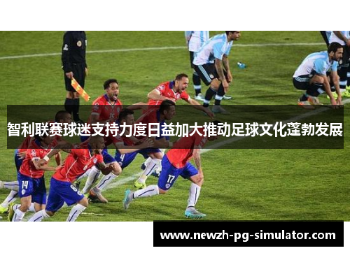 智利联赛球迷支持力度日益加大推动足球文化蓬勃发展