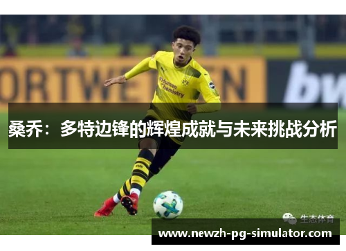 桑乔：多特边锋的辉煌成就与未来挑战分析